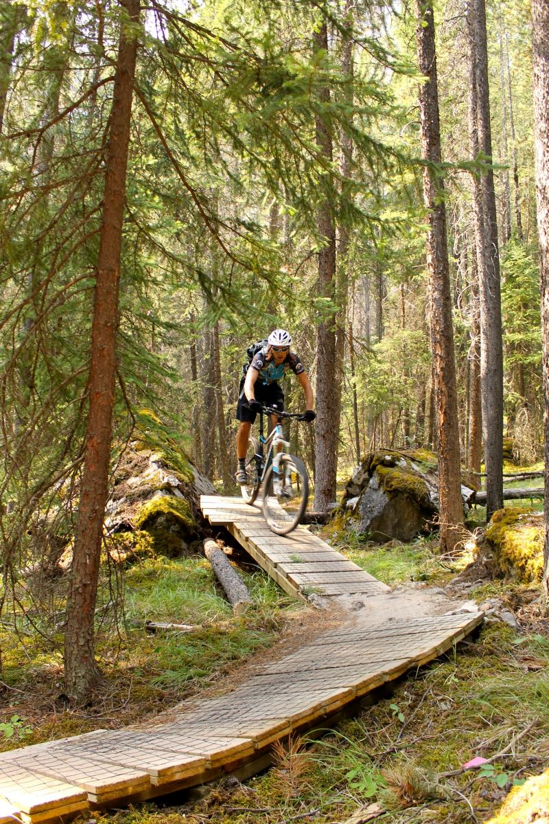 Tunnel Mountain Tech Trails Mountain Bike Trail in Banff, Alberta