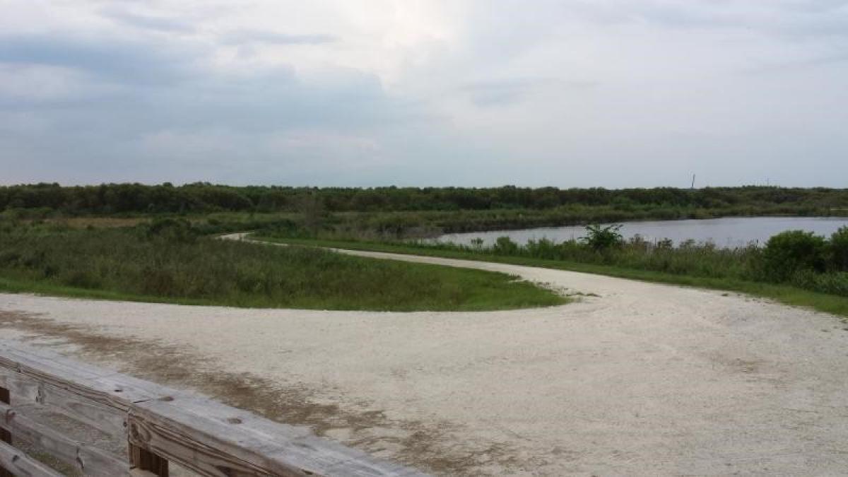 Lake Apopka Restoration Area photo