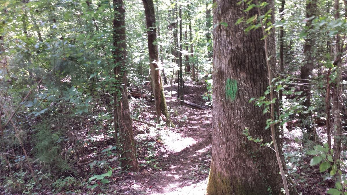 Hard Labor Creek State Park photo