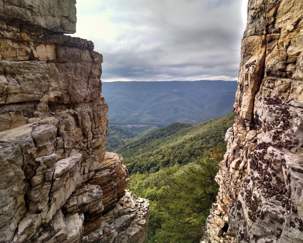 Web hikers describe the north fork mountain trail (nfmt) as having relentless views. North Fork Mountain Trail photo