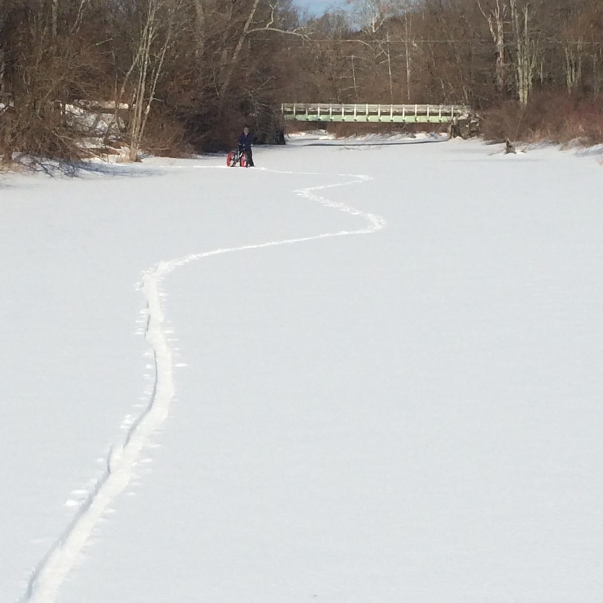 Lackawanna State Park Mountain Bike Trail in Fleetville, Pennsylvania