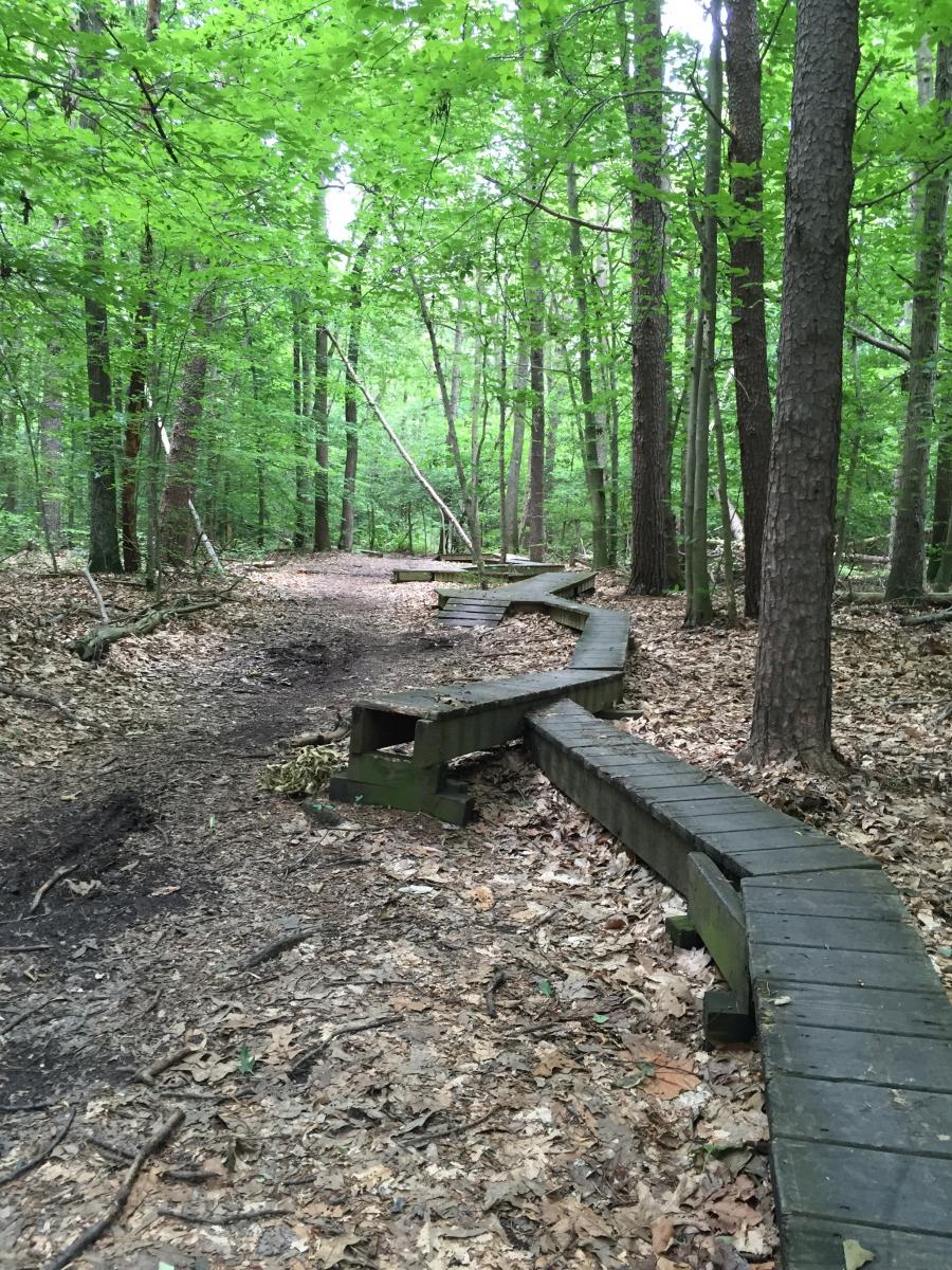 Fairland Recreational Park photo