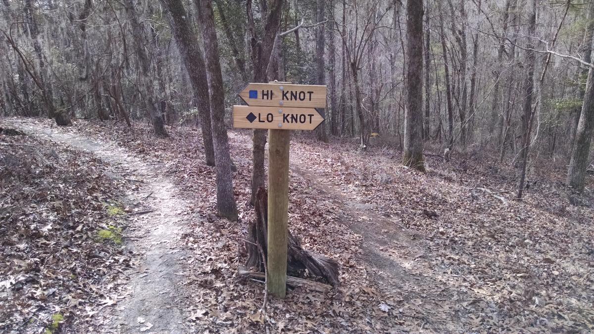 Poinsett State Park Mountain Bike Trail in Poinsett State Park, South Carolina