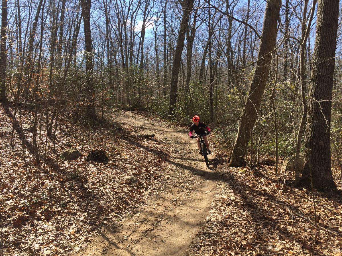 Old Saybrook Preserve photo