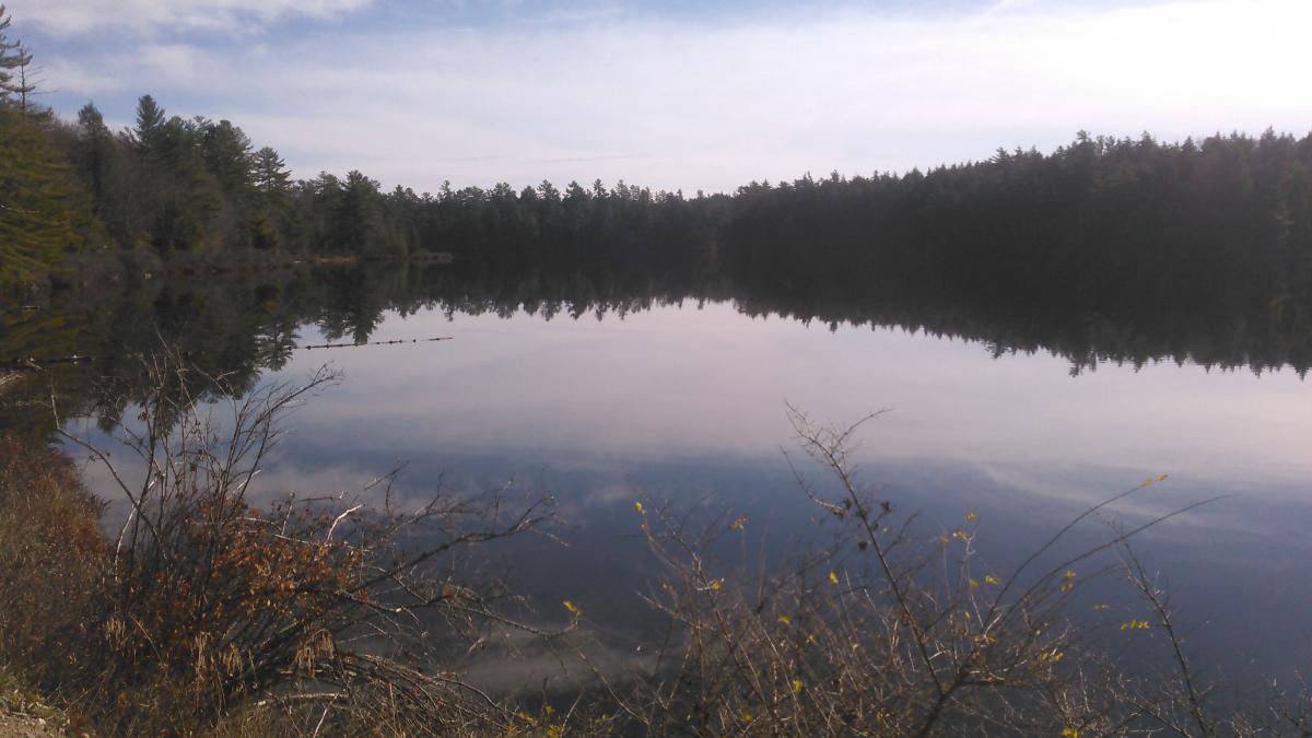Floodwood Otter Pond loops Mountain Bike Trail in Saranac Lake, New