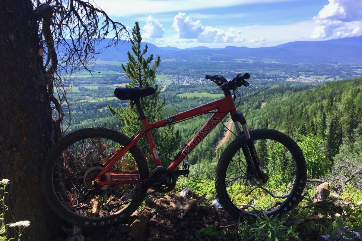 Kona Scrap DJ Bike Reviews Mountain Bike Reviews