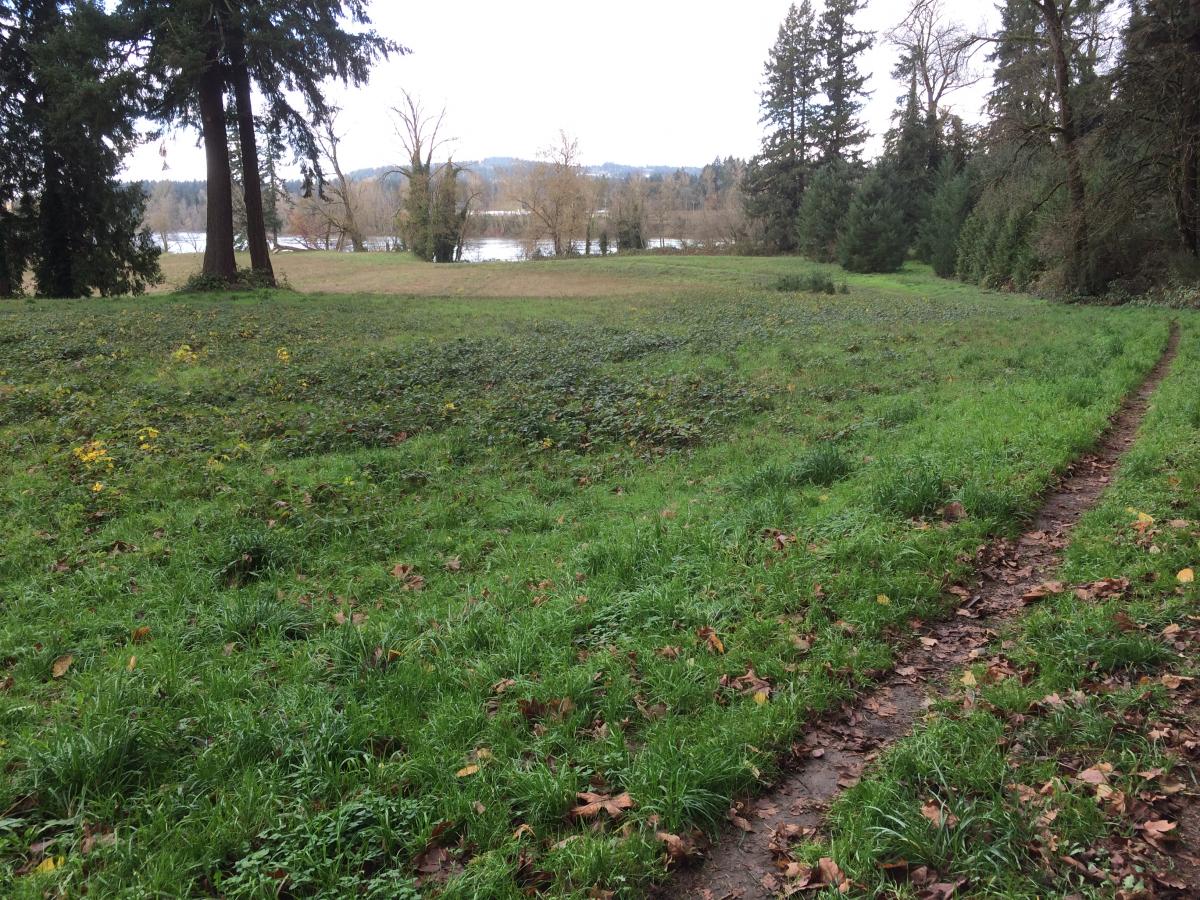 Eco Park/Willamette River Trail Mountain Bike Trail in Canby, Oregon