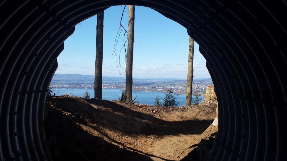 ZugerbergTrail Mountain Bike Trail in Zug, Switzerland