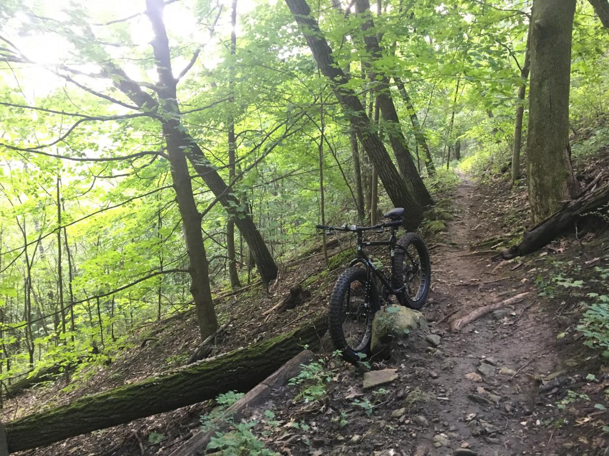 Holzinger Lodge Mountain Bike Trail in Winona, Minnesota