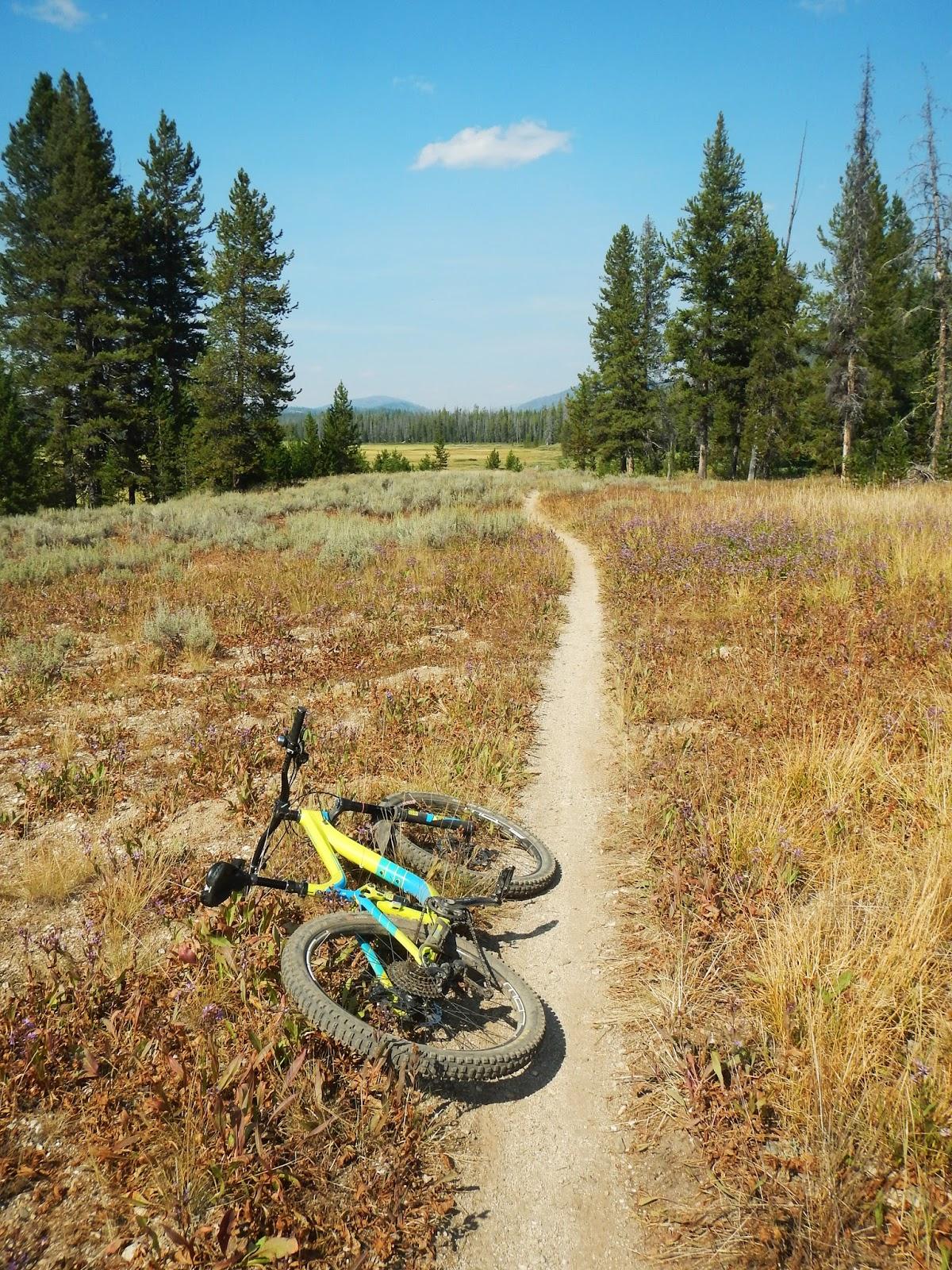Elk Meadows Loop photo