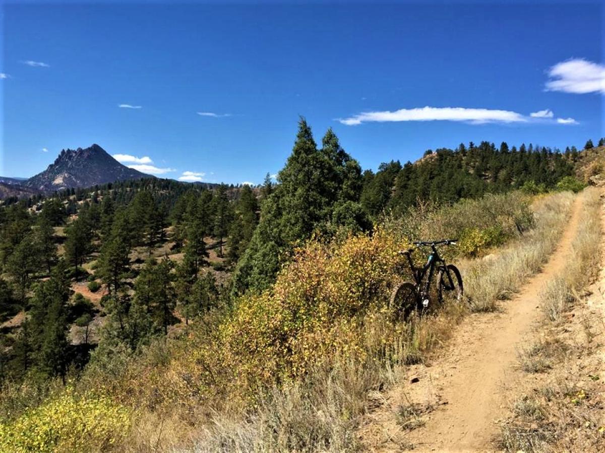 North Fork Mountain Bike Trail in Conifer, Colorado