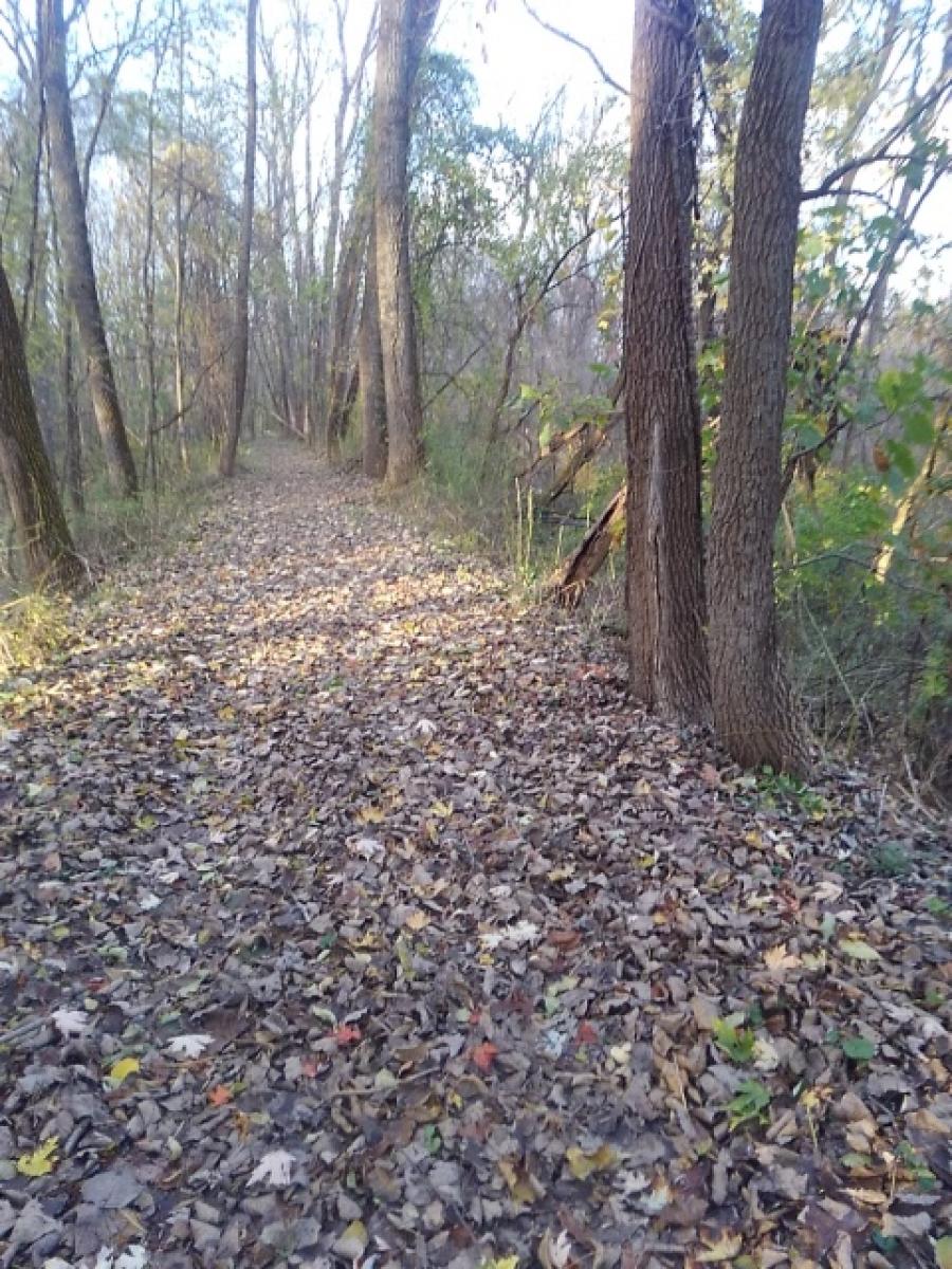 Schodack Island State Park photo