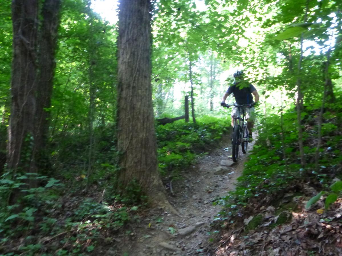 Copperhead Trail Mountain Bike Trail in Greensboro, North Carolina