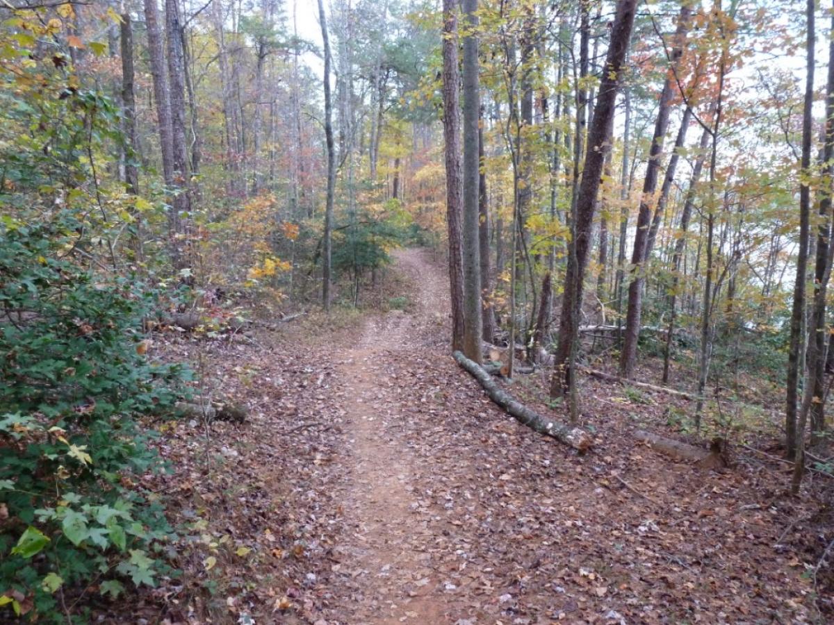 Yonah Preserve Mountain Bike Trail in Cleveland,