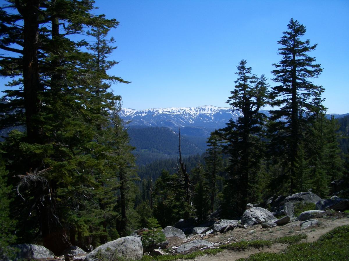 Mr. Toad's Wild Ride Mountain Bike Trail in South Lake Tahoe