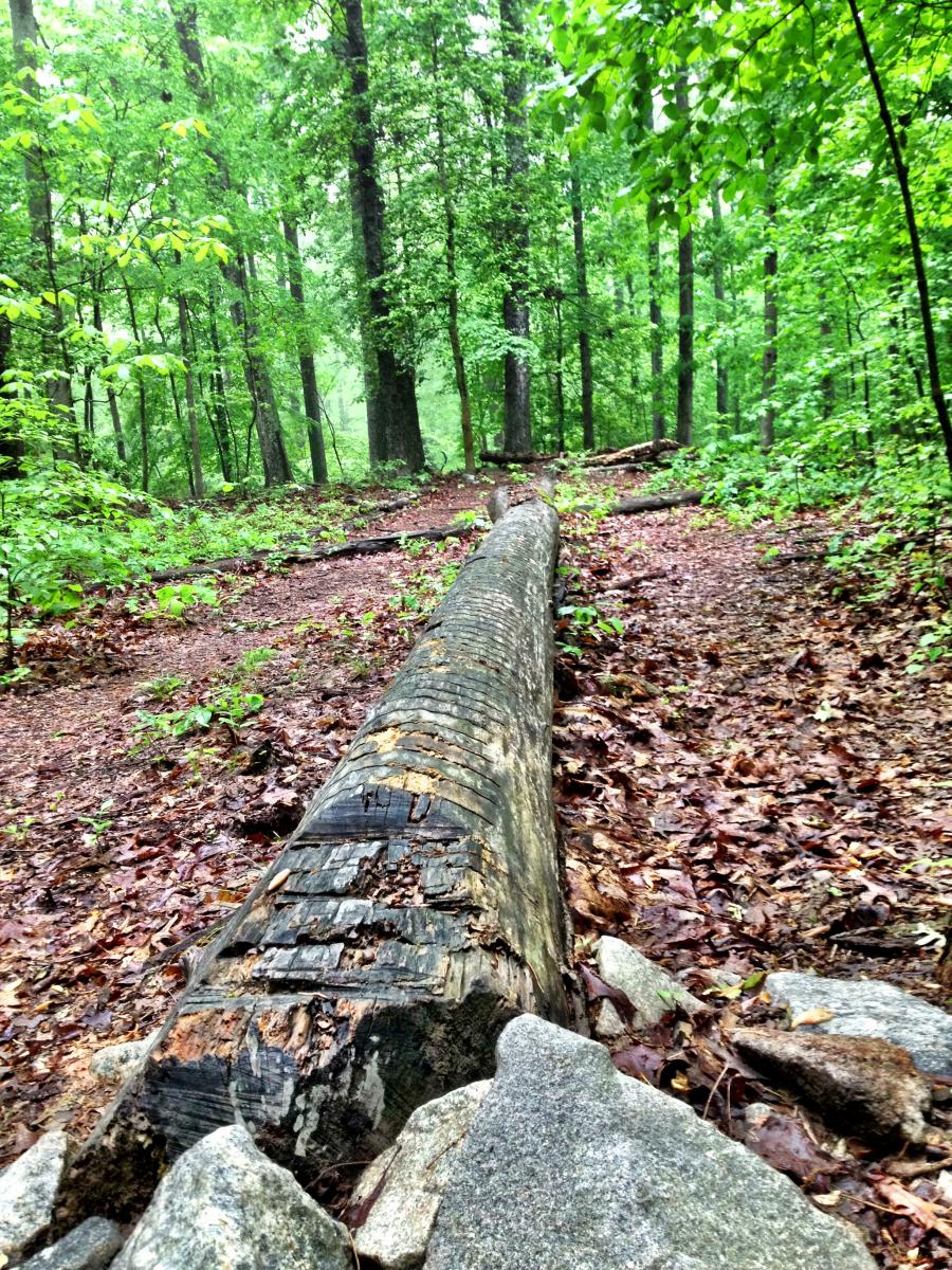 Trail Tuesday Pocahontas State Park, Richmond, Virginia Singletracks