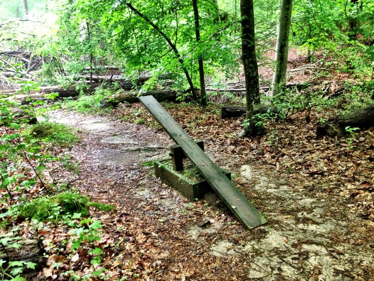 Trail Tuesday Pocahontas State Park, Richmond, Virginia Singletracks