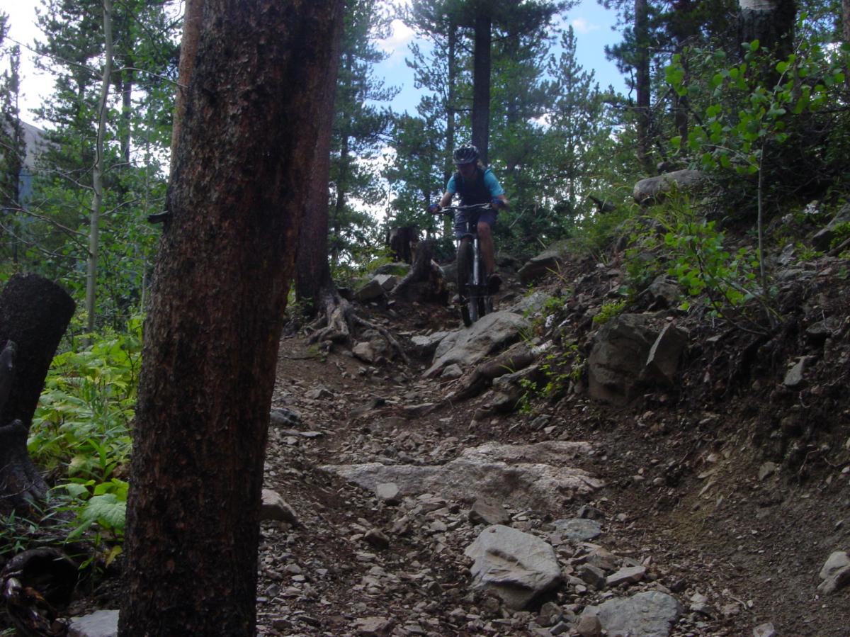 The McDonalds of Trail Building Standardizing Mountain Bike Trails