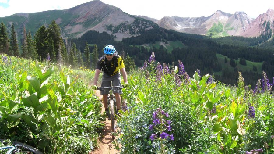 20 of the Most Scenic Mountain Bike Trails in the Western USA According to