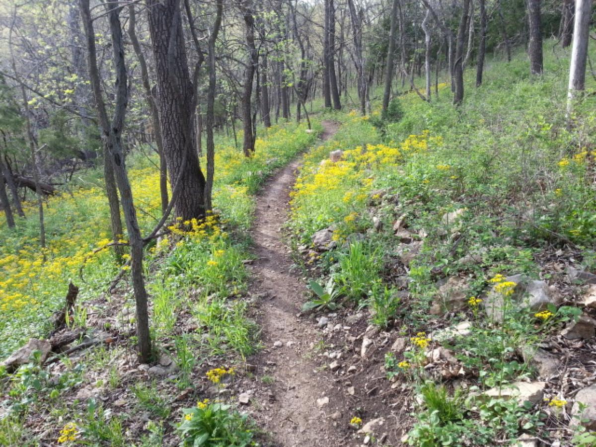 Five2Ride 5 of the Best Mountain Bike Trails in Kansas Singletracks