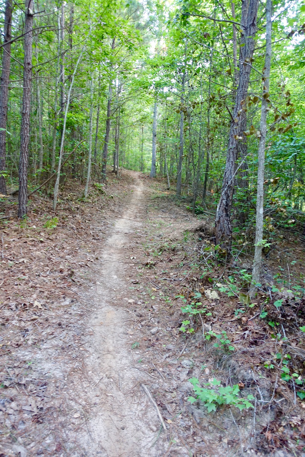 moores_bridge_trails 2 Singletracks Mountain Bike News