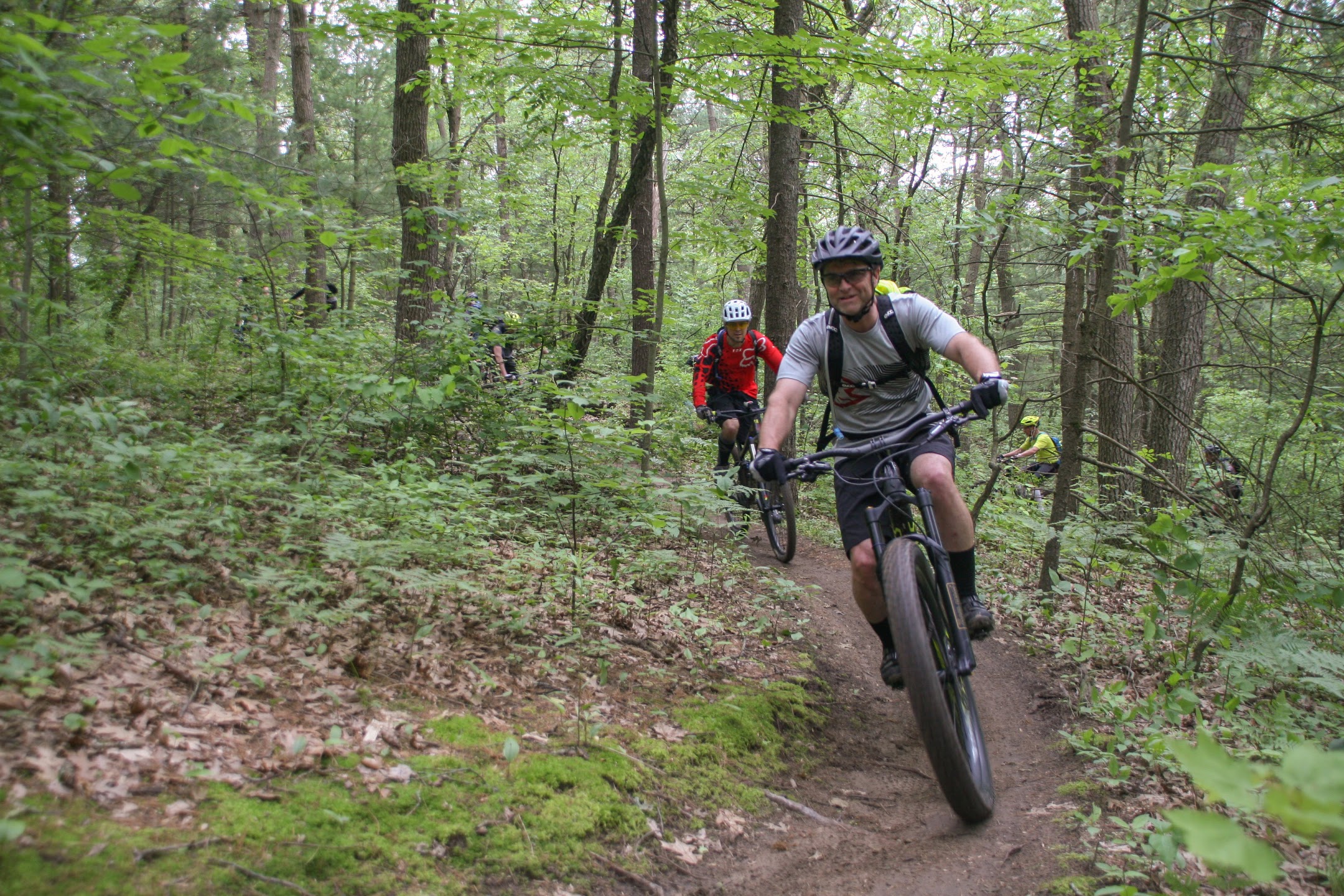 The Land of Sand The Turkey Point, Ontario MTB Trails Singletracks