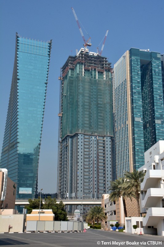 Duja Tower The Skyscraper Center