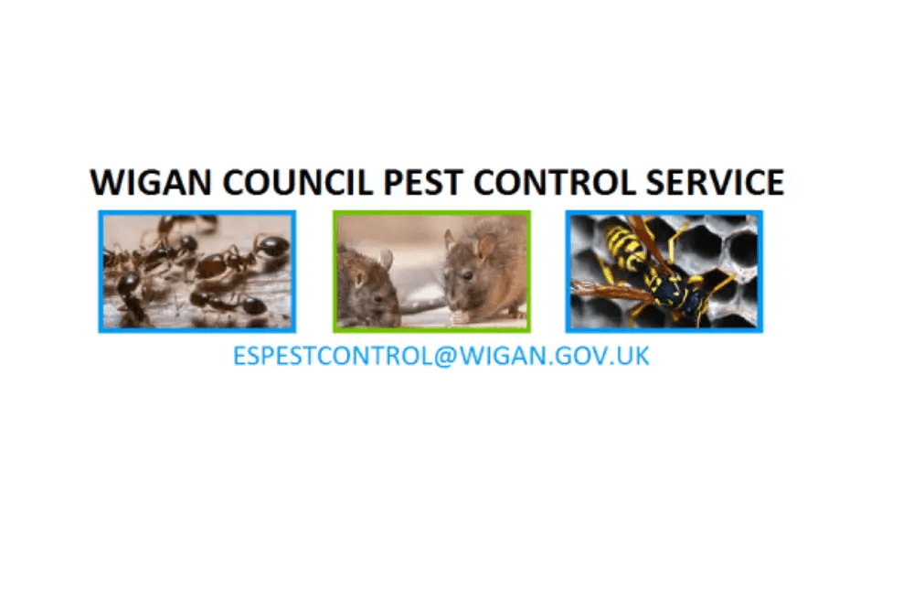 Pest Control Service Be Wigan Services for Schools