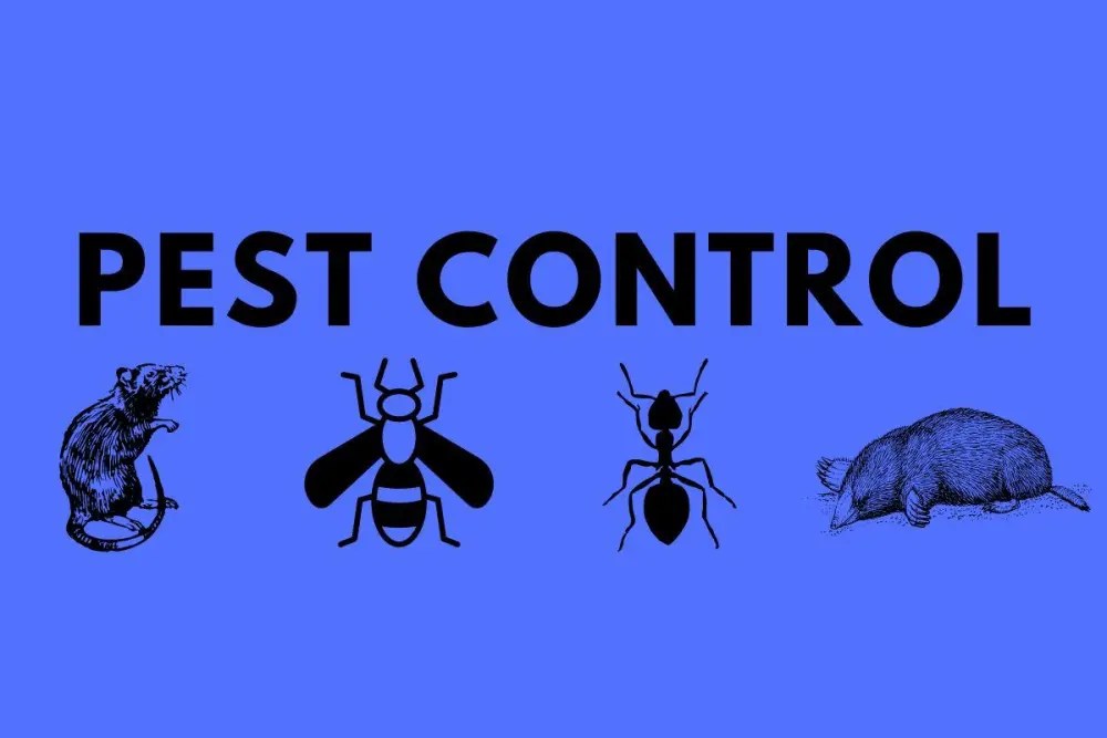 Pest Control Primary Contract Rats & Mice (Rodent) Control for Whole
