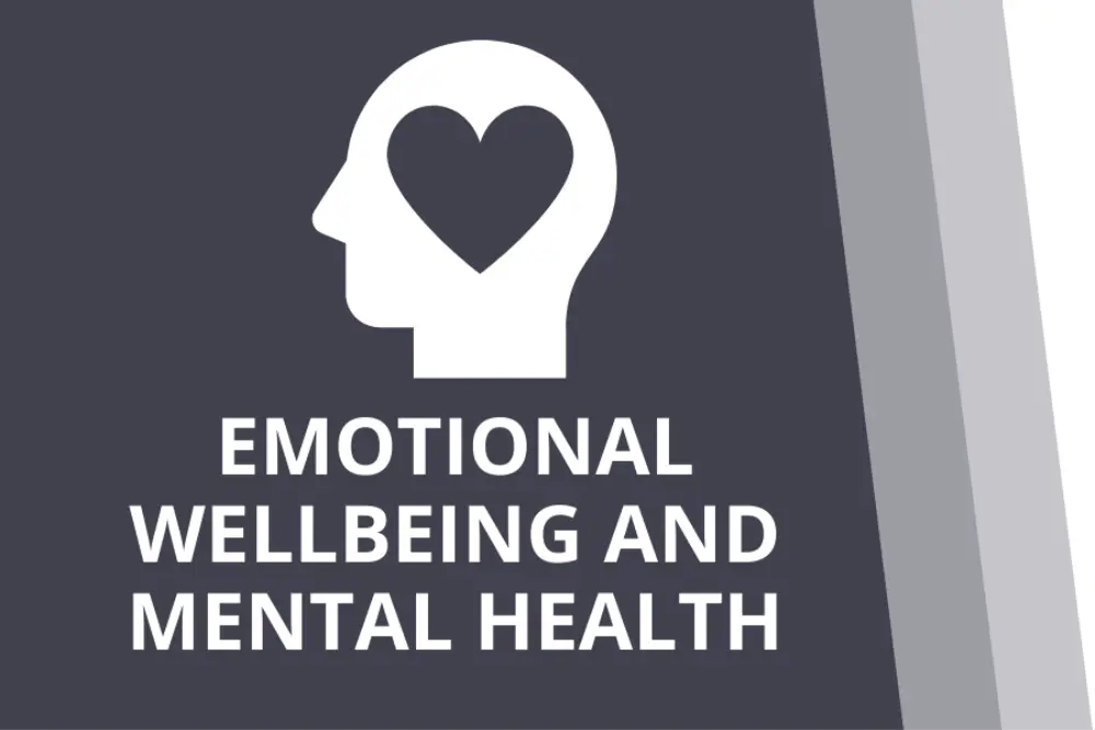 The PSHE Association Membership Refresher Event outlining membership