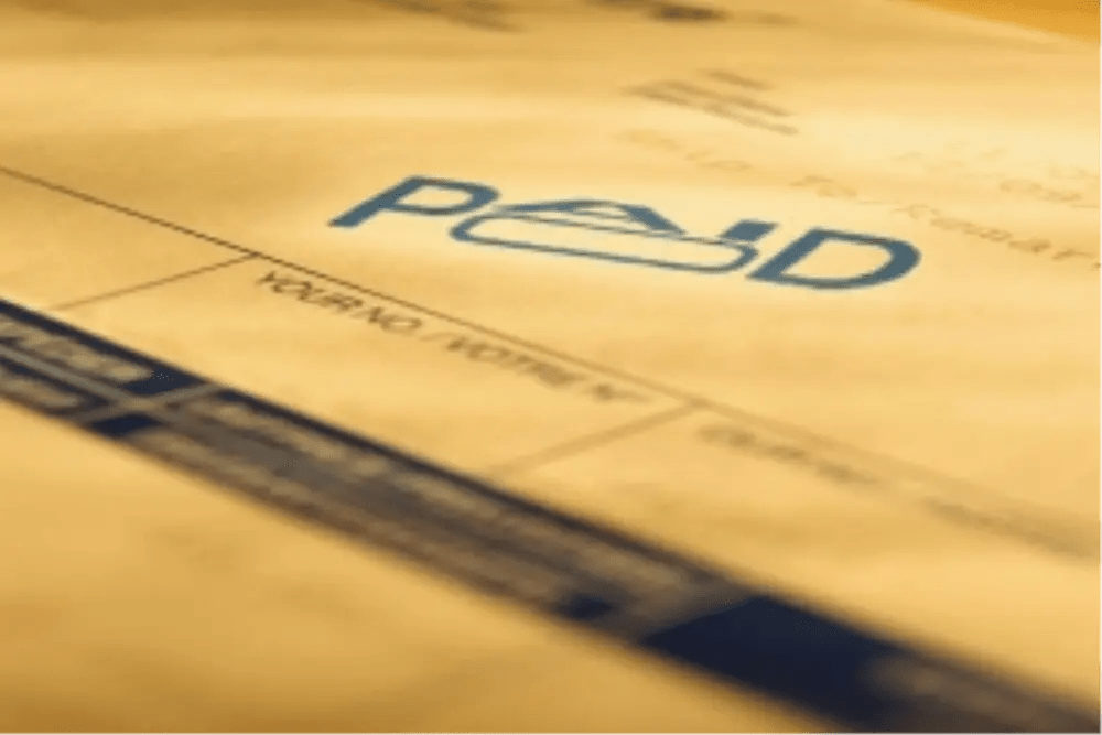 Accounts Payable Dorset Nexus