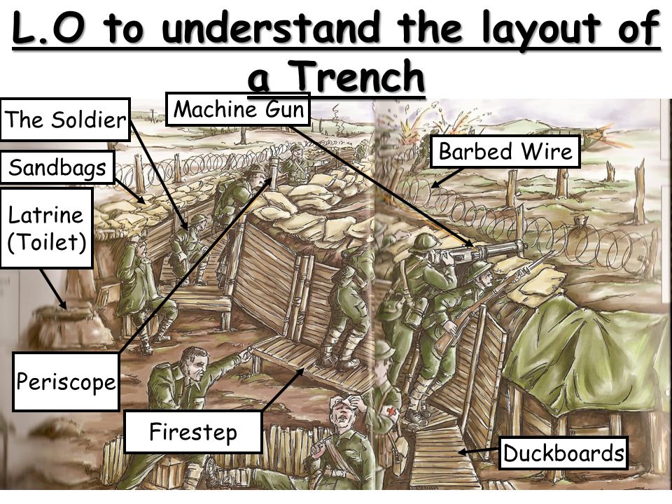 World War I Trench Diagram