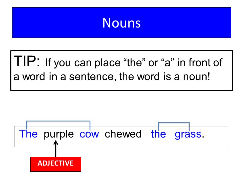The Primary Parts of Speech An extremely simple guide to using nouns