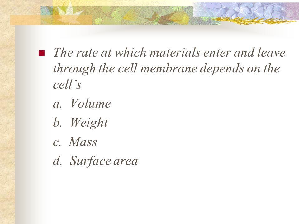 Cell Growth And Division Why Cells Divide Dna Overload Small Cell – Information Stored In Dna Meets All The Cells Needs Cell Growth Without Limits Leads. - Ppt Download