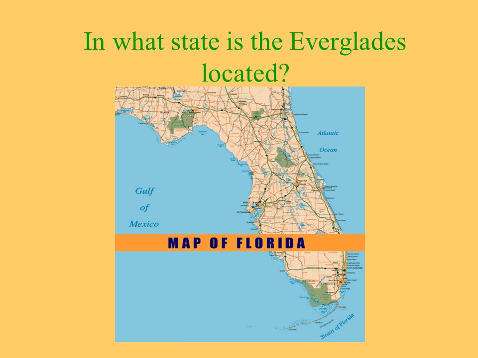 In what state is the Everglades located? In what part of Florida is the