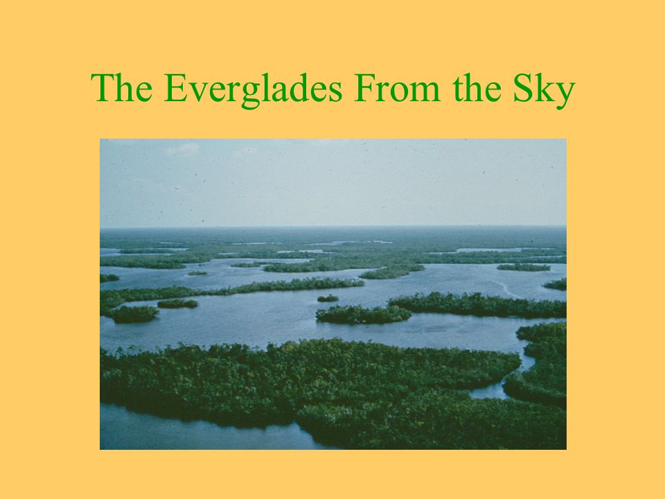 In what state is the Everglades located? In what part of Florida is the