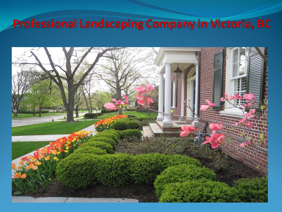 Professional Landscaping Company in Victoria, BC ppt download