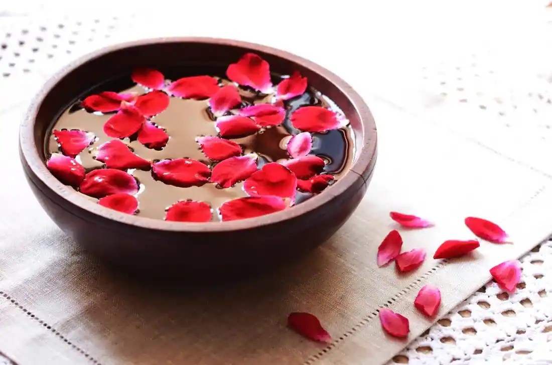 Rose Day 2022 5 Health Benefits Of Consuming Rose Petals