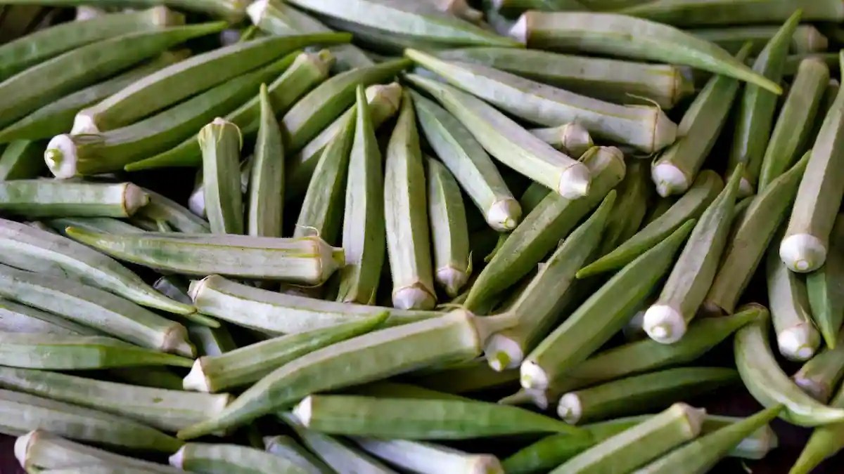 Okra How It Made Its Way To India