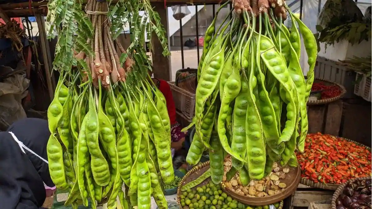 The Stink Bean A Smelly But Healthy Thai Vegetable