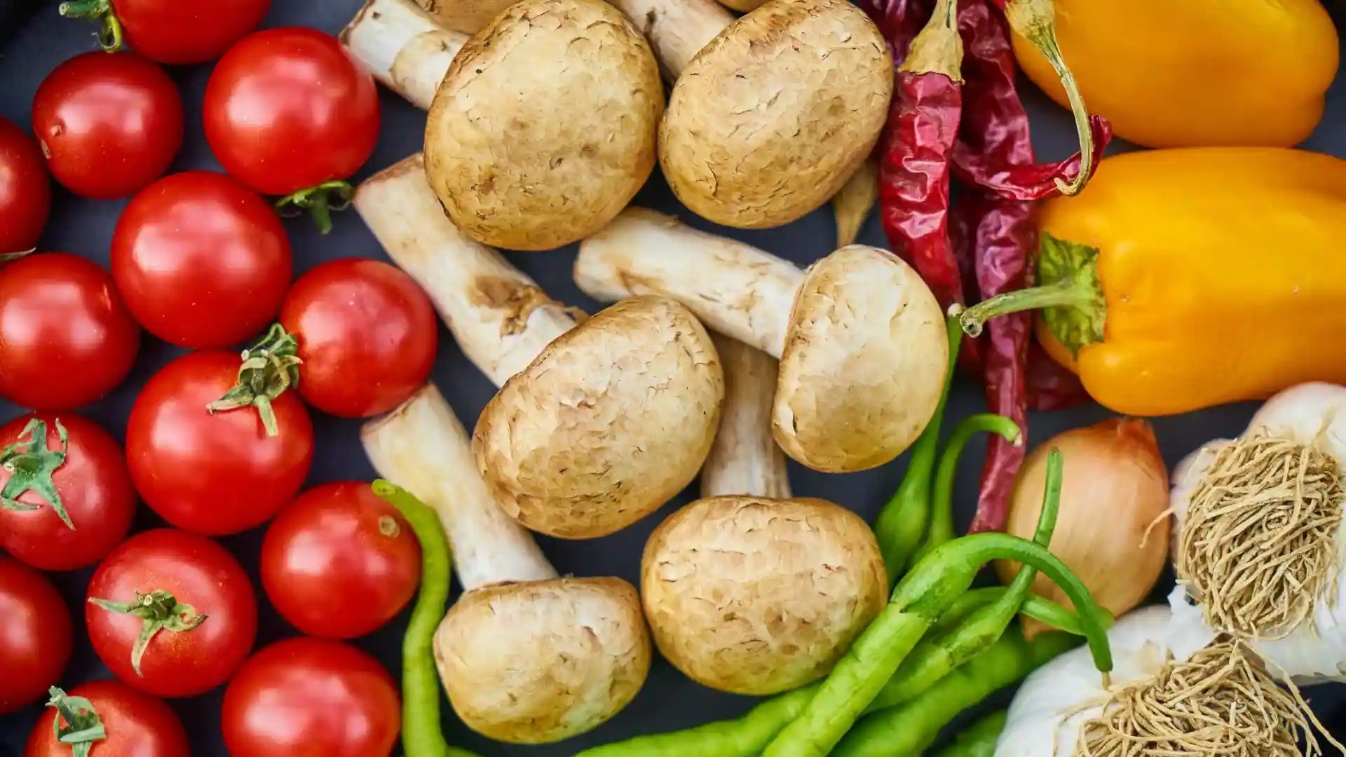 Cropping Seasons In India A Short Guide