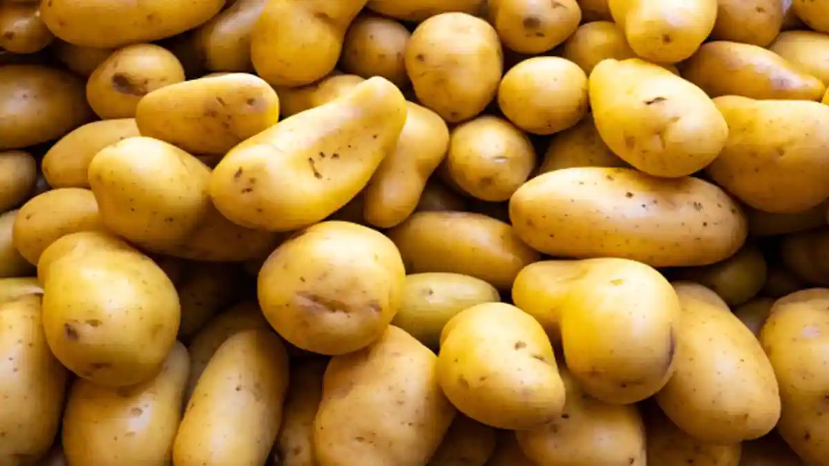 Potatoes For Weight Loss? Here’s Why You Should Have Them