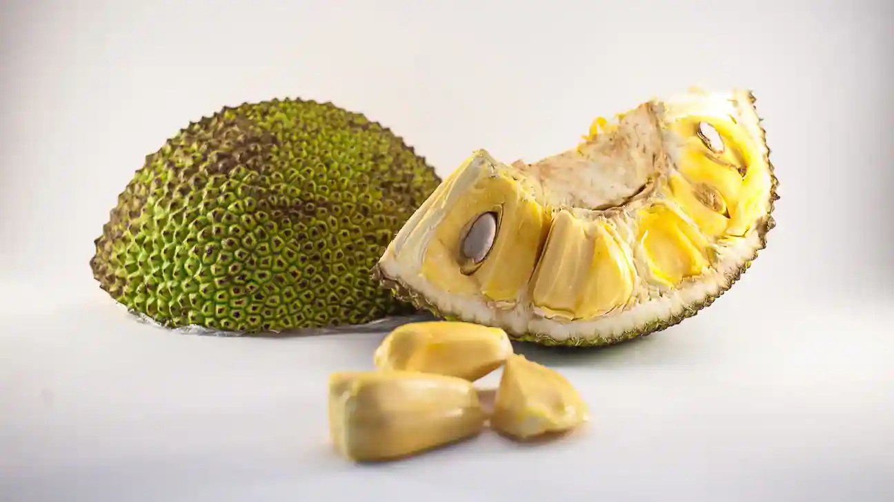 Don’t Throw Away Jackfruit Seeds; Use Them For Culinary Purposes