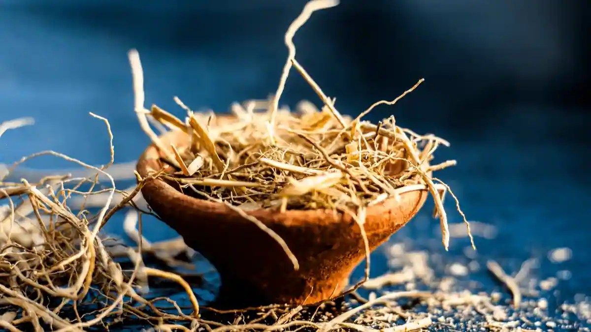 Khus and Khus Khus Are Different, Know Here