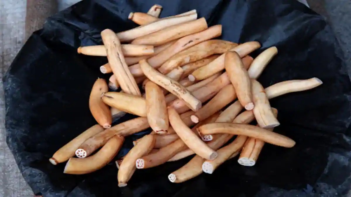 Health Benefits Of Kashmiri Nadru You Must Know