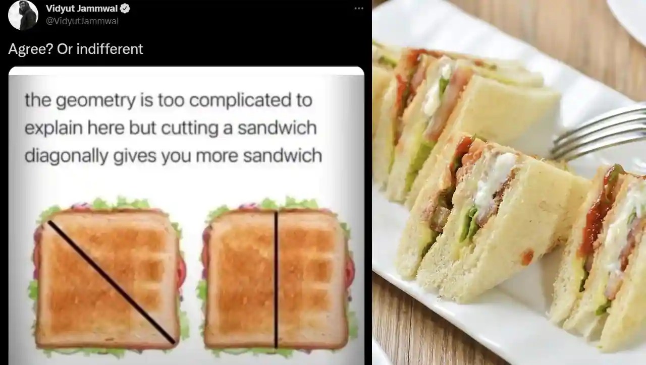“Cutting A Sandwich Diagonally Gives You More Sandwich”, Expresses