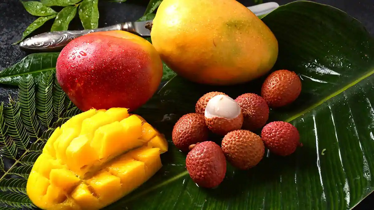 Lychee Mango Sandesh Recipe You Must Try