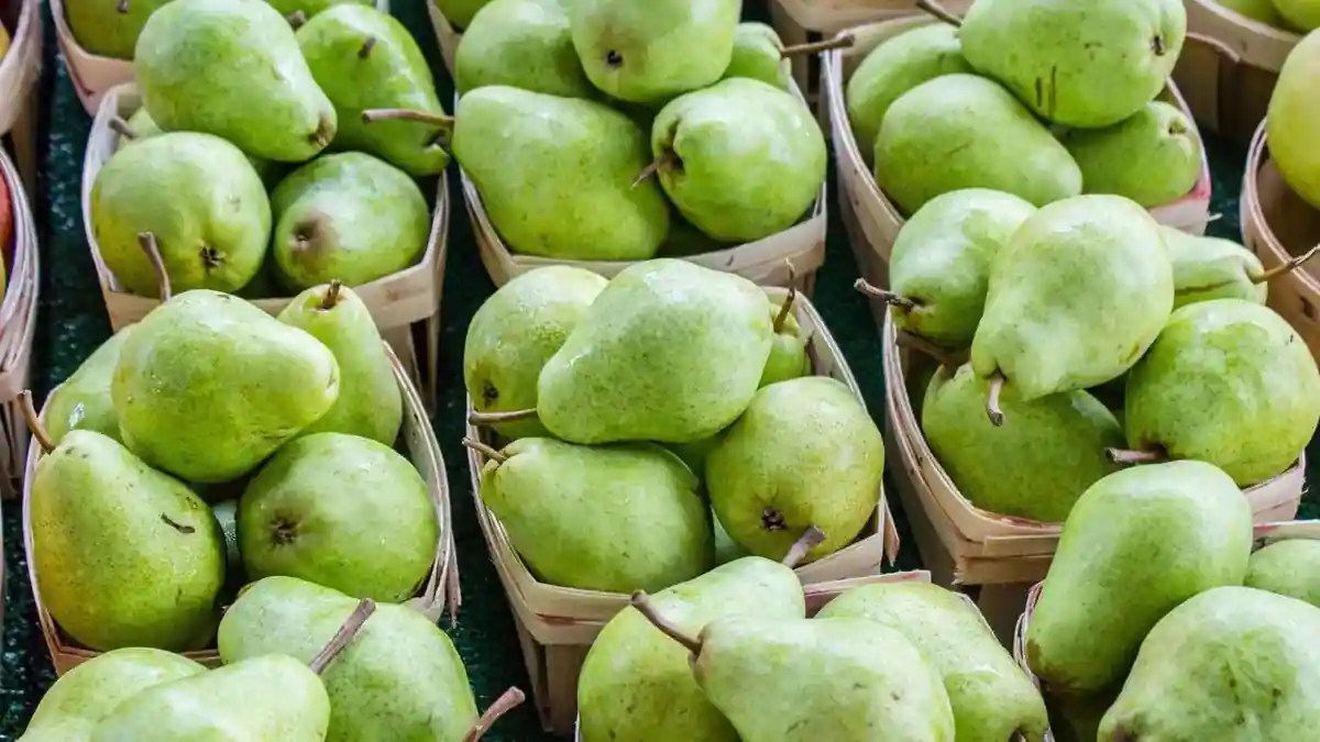 Weight Loss Benefits Of Pears