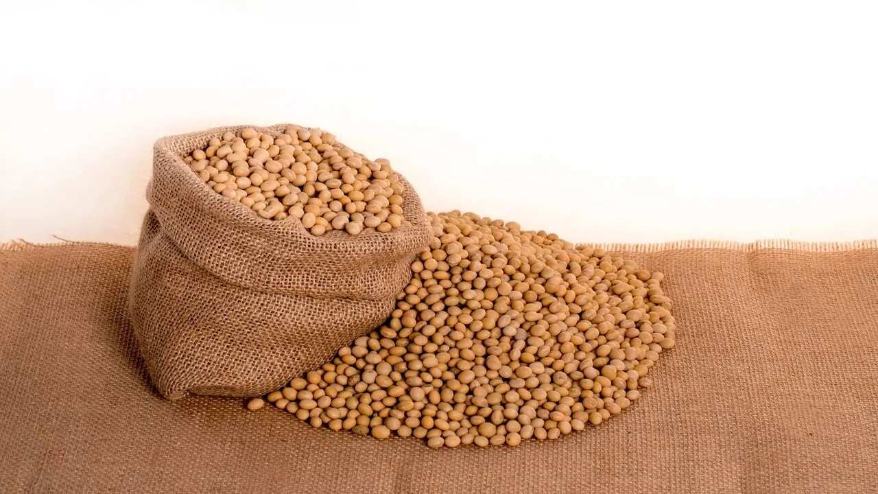 Soybean Recipes For Your Daily Dose of Protein 2022