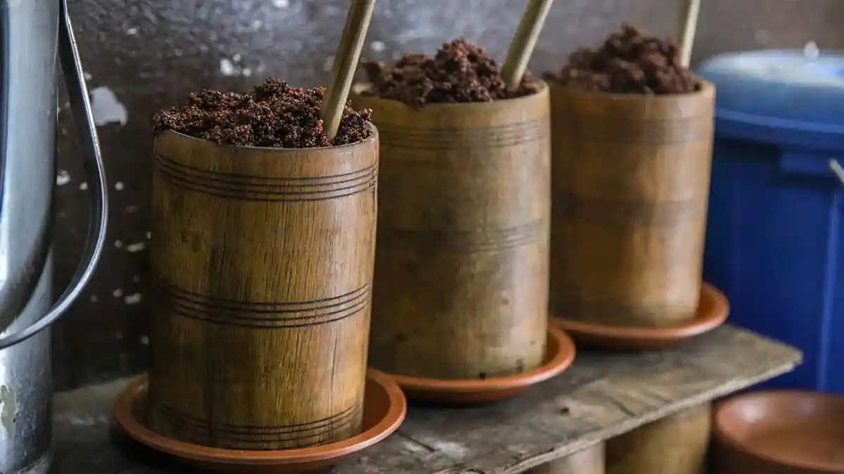 Kodo Ko Jaanr Sikkim’s Sustainable Millet Beer